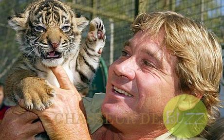 steve_irwin_mort_tournage_documentaire