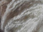 fil, fil...de laine