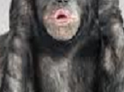 #EP2014 succès notre responsabilité collective. "Qui consent". Point barre.