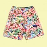 K1X_Gnarly_Shorts_7