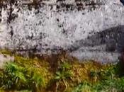 L’amour l’italienne