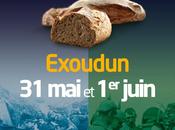 pain dans Grande Guerre juin 2014 Exoudun (79)