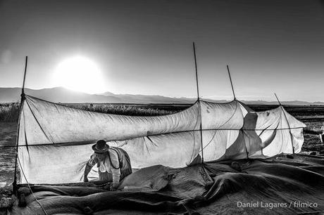 Les gardiens du quinoa. Photographies de Daniel Lagares