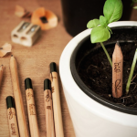 HIGH-TECH: Le crayon qui fait pousser vos plantes