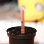 HIGH-TECH: Le crayon qui fait pousser vos plantes