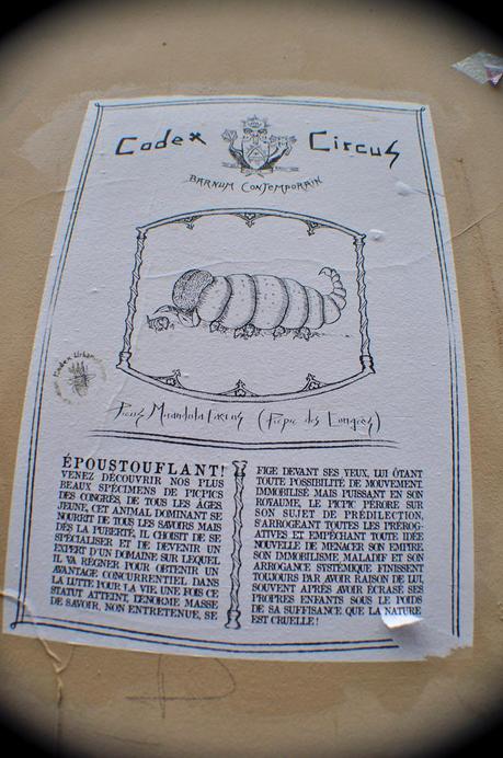 Codex Circus_Picpic des Congrès