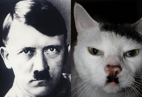 Hitler Chat