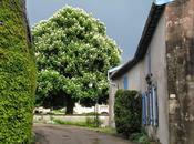 Hattonchâtel choses d'autres