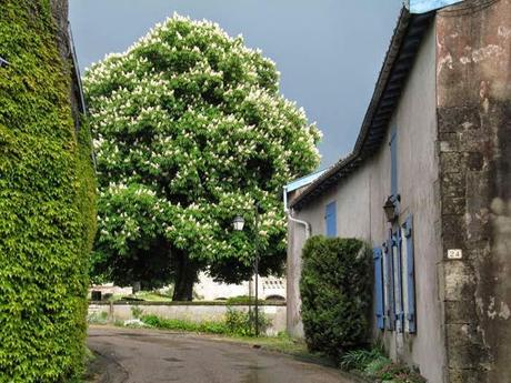 Hattonchâtel : des choses et d'autres