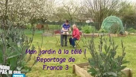 Mon jardin à la télé ! (Reportage sur France 3)