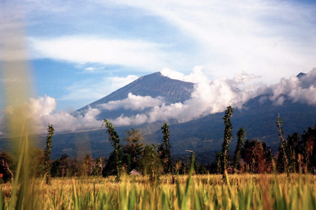 Sur la route du Rinjani, Lombok, Indonésie