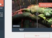 Réduisez poids images avec compressor.io
