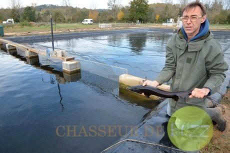 Levée de fonds flash pour le caviar de Neuvic Huso_caviar_crowdfunding_buzz