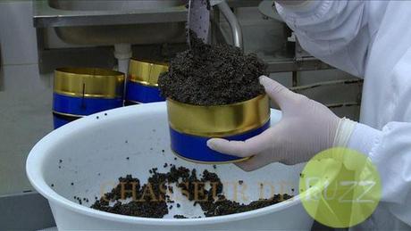 Levée de fonds flash pour le caviar de Neuvic Huso_caviar_crowdfunding_buzz