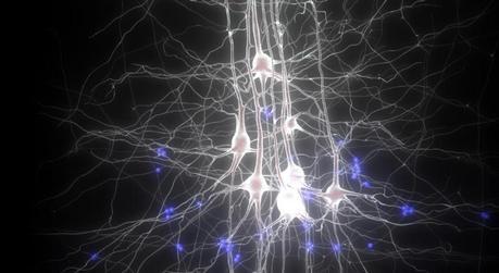 Les dix technologies qui vont changer le monde en 2014