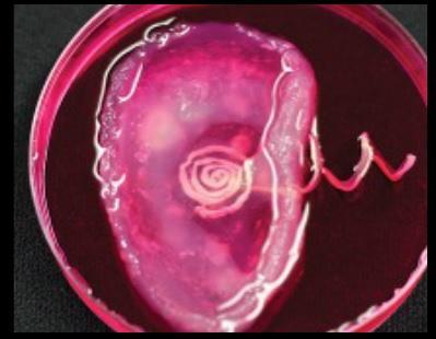 Les dix technologies qui vont changer le monde en 2014