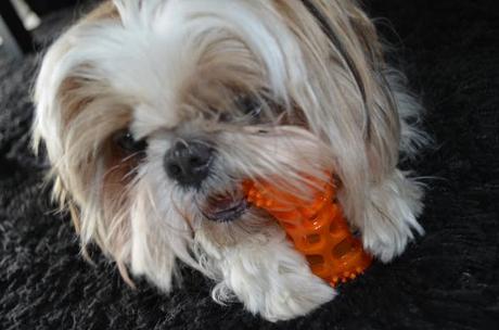 wayne jouet woufbox mai