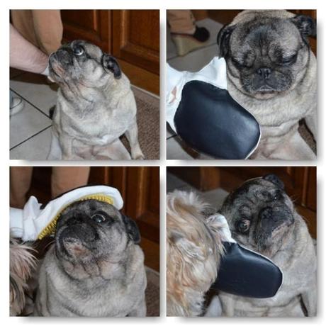 clint woufbox mai 14