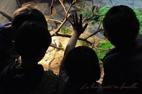 Visiter le nouveau Zoo de Vincennes avec les enfants