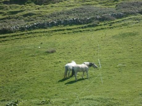 voyages,saisons,tourisme,écriture,culture,irlande,journal intime