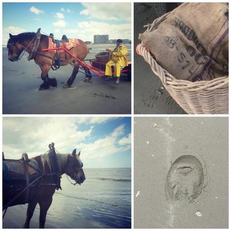 Les Flandres et son Littoral... [Part1]