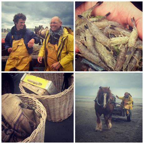 Les Flandres et son Littoral... [Part1]