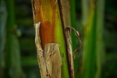 END. X JOURNAL STANDARD – S/S 2014 CAPSULE COLLECTION