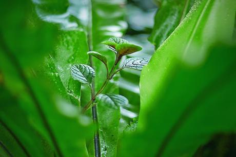 END. X JOURNAL STANDARD – S/S 2014 CAPSULE COLLECTION
