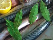 poisson week beau, frais, pour santé c'est maquereau bien entendu