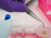 Visite laboratoires L’Oréal Episkin