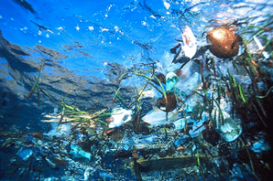 Transformer les déchets plastiques des océans en emballages