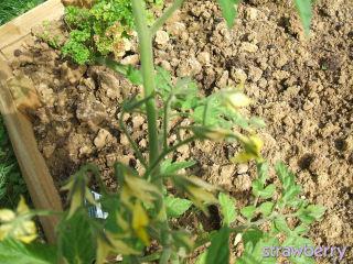 Image and video hosting by TinyPic