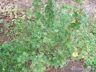 Image and video hosting by TinyPic