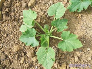 Image and video hosting by TinyPic