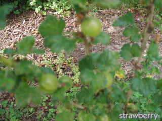 Image and video hosting by TinyPic