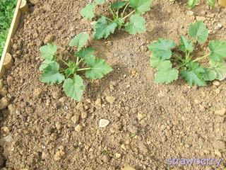 Image and video hosting by TinyPic