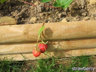 Image and video hosting by TinyPic