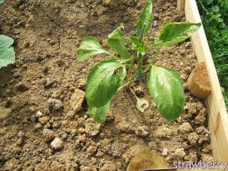 Image and video hosting by TinyPic