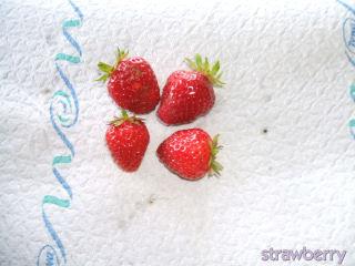 Image and video hosting by TinyPic