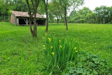 Lavoir de Jaillon (54)