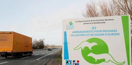Poitou-Charentes : un dispositif pour permettre à la faune de circuler