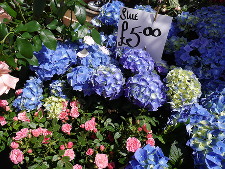 flowermarket1_kustomcouture