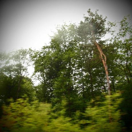 Quatre ans, un anniversaire discret