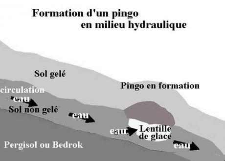 formation d'un pingo en milieu hydrolique.jpg