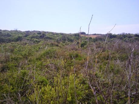 Pé-Quend plage express