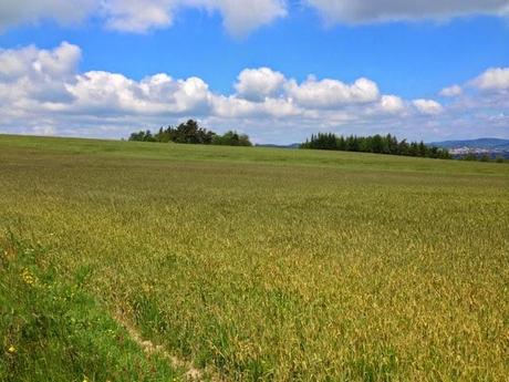 C'est la fin des vacances...
