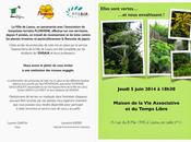 Plantes invasives