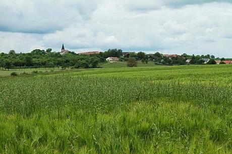 Jaillon, dans la campagne