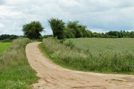 Jaillon, dans la campagne