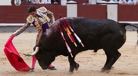 1401655324_extras_noticia_foton_7_1